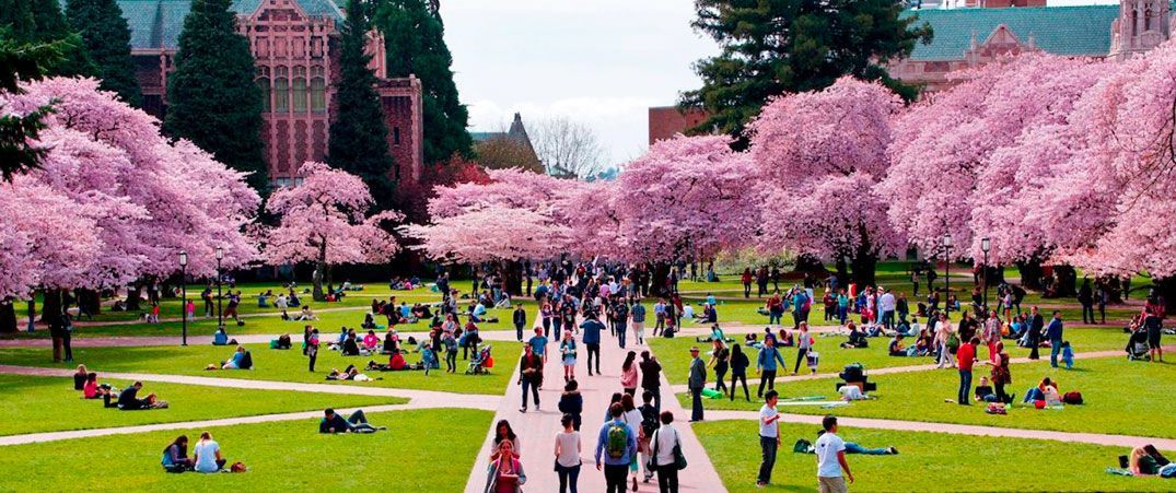 Schools, Colleges, & Universities